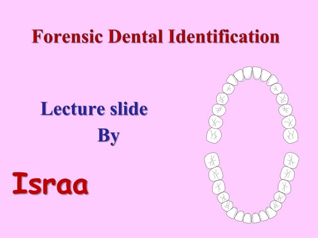 Pattern recognition forensic dental identification