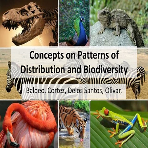 Patterns of biodiveristy