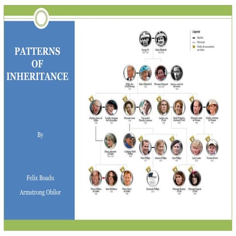 Patterns of inheritance | PPT