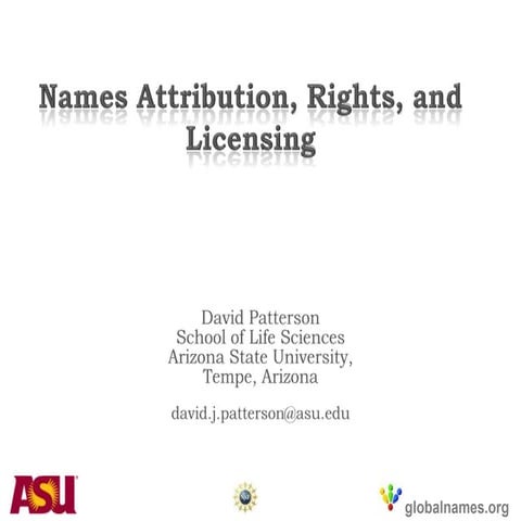 Patterson names