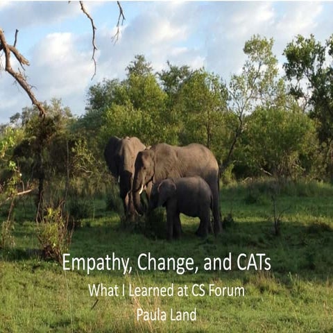 Paula Land: Empathy, Change, and CATs - CS Seattle