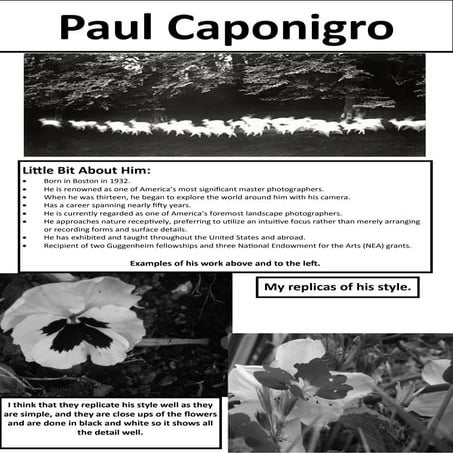 Paul Caponigro Research