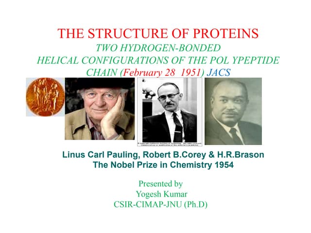 Protein structure by Pauling & corey