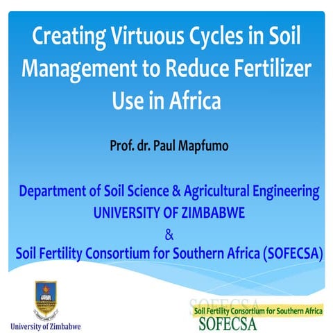 Creating Virtuous Cycles in Soil Management to Reduce Fertilizer Use in Africa
