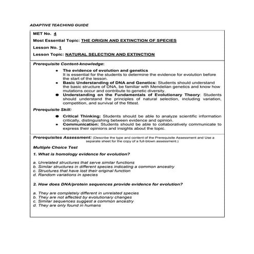 adaptive teaching guideline.........docx