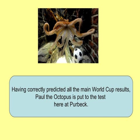 Paul The Octopus | PPT