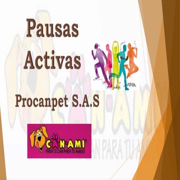 Pausas activas