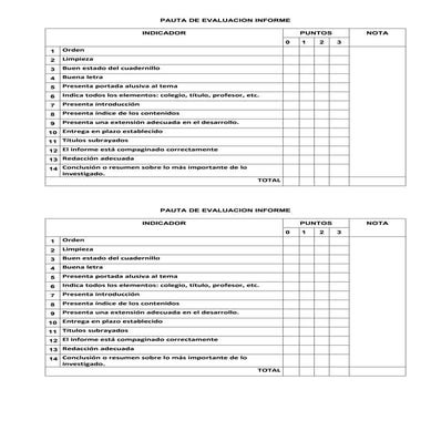 Pauta evaluación informe de lenguaje
