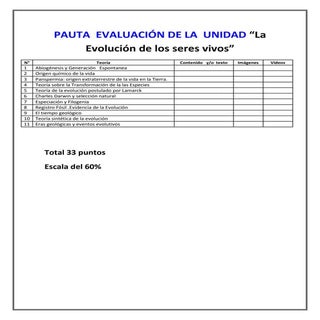 Pauta evaluacion evolición