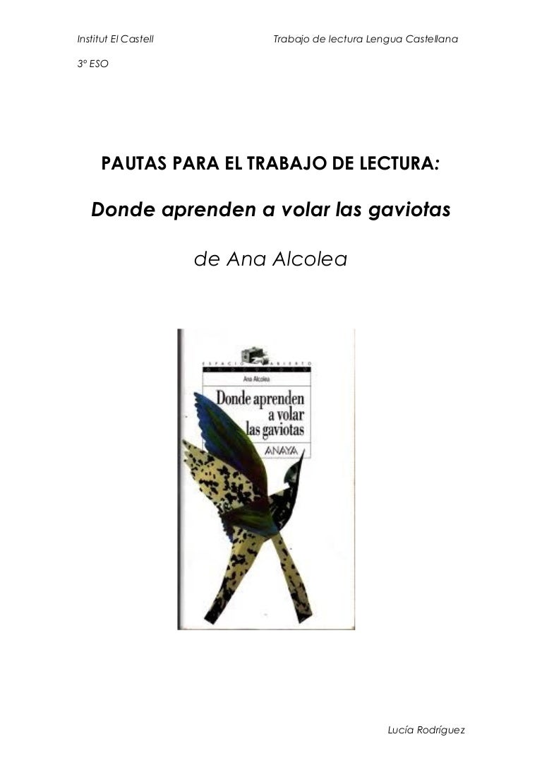 Trabajo De Lectura Donde Aprenden A Volar Las Gaviotas