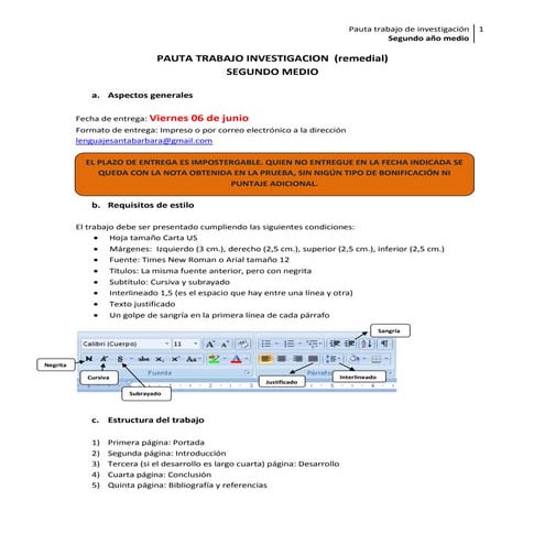 Pauta trabajo investigacion2domedio
