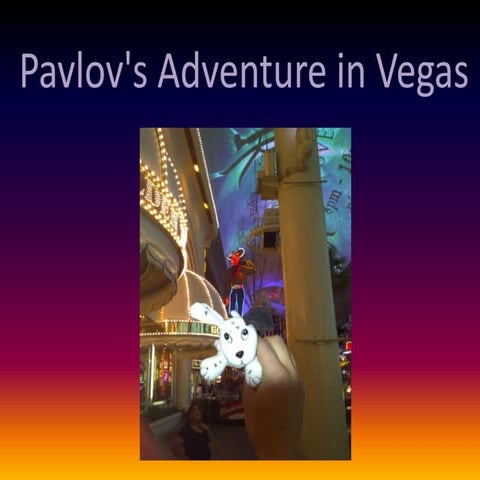 Pavlovs Adventures in Vegas