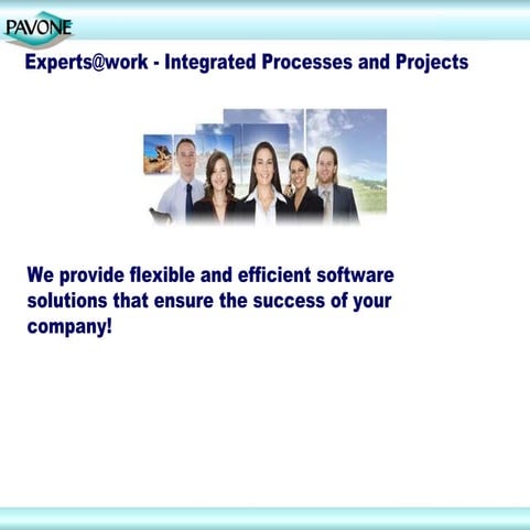 Experts for Project Management and Business Process Management,