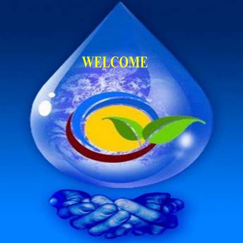 Management practices to improve irrigation efficiency 