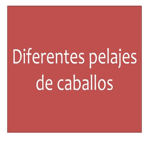 Pawer pelajes de caballos