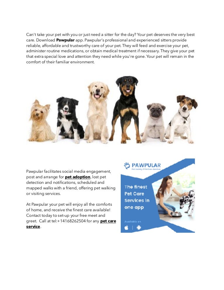 Get Best Pet Care Service at 100 Discount Pawpular App