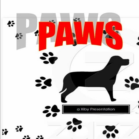 Paws