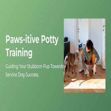 Puppy Bootcamp The Foundation for Service Dog Excellence. | PDF