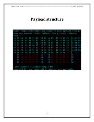 payload structure