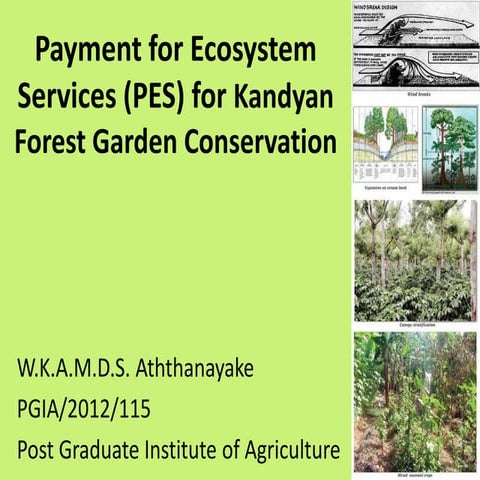 Payment for ecosystem services (pes) for