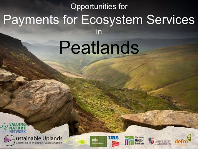 Payments for peatland ecosystem services