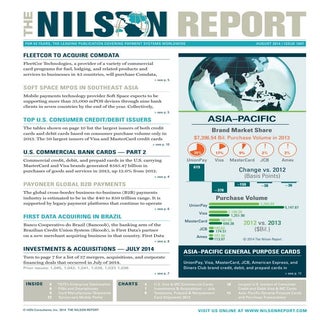 Payoneer nilson report coverage 8 26