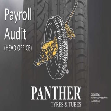 Payroll Internal Audit Plan