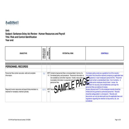 Payroll r isk & control sample 500594 | PPT