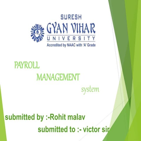 Payroll system ppt1(ads) (rohit malav)
