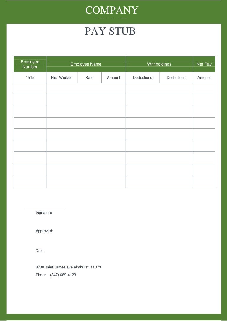 Free Pay stub Generator template