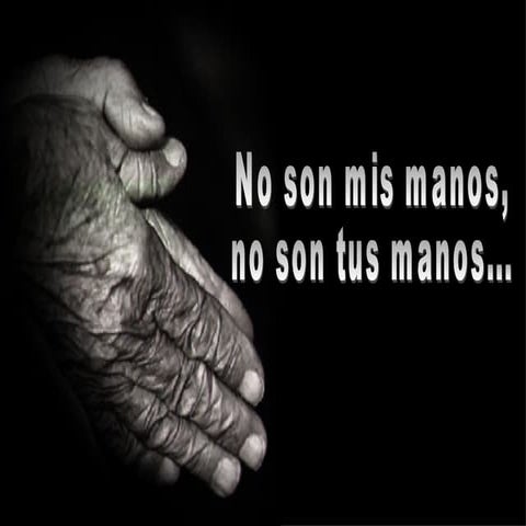 Paz  Frases Teresa Calcuta