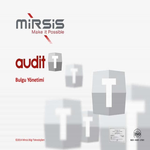 Mirsis Audit-T Bulgu Yönetimi