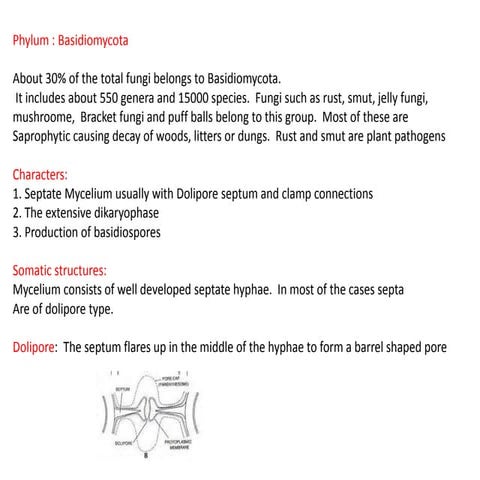 P Basidiomycota.pptx