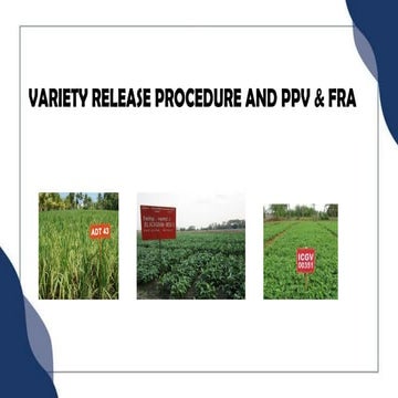 Variety Release procedure and ppv and fra