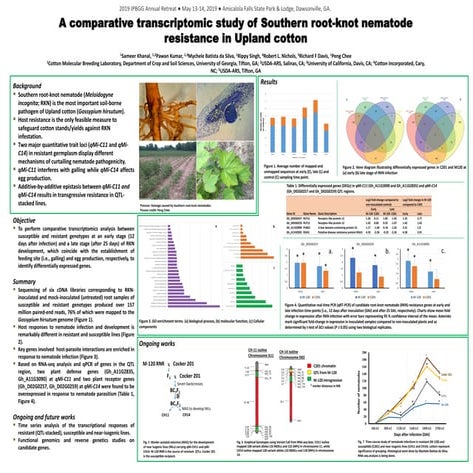 Transcriptomics of RKN resitance in Upland Cotton