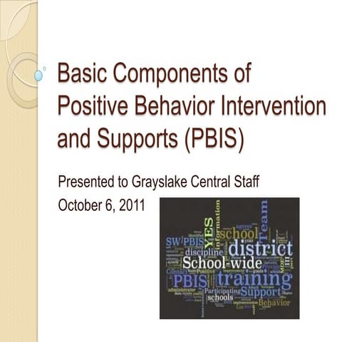 Pbis541revised