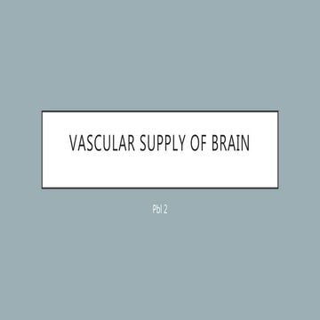 Pbl 2   vascular supply of cerebrum