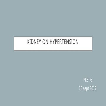    kidney on hypertension
