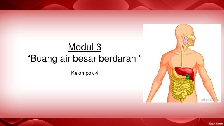 Modul 3 Bab Berdarah