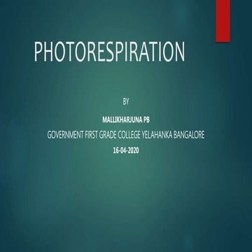 PHOTORESPIRATION