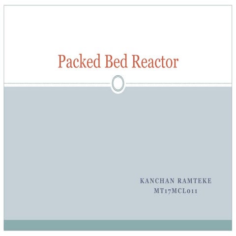 Packed bed reactor