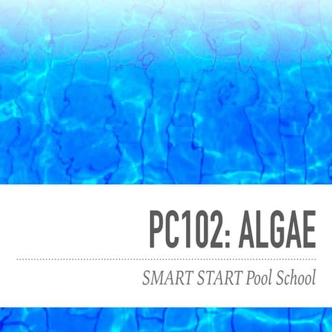 PC102: Algae