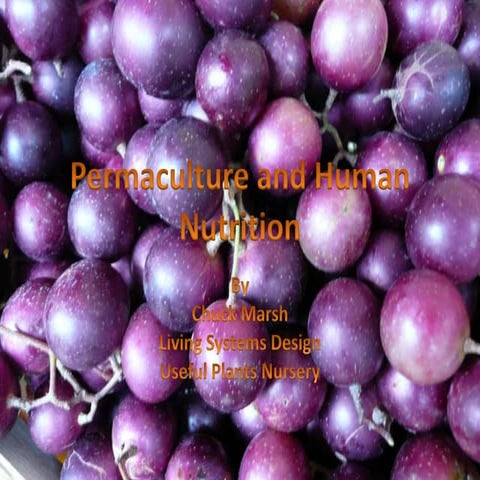 Permaculture and human nutrition v.5