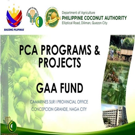 PCA Programs & Projects Updated 2025.pptx