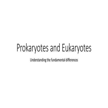 Eukaryotic Cells and Prokaryotic Cells - STEM | PPTX