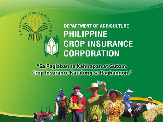 Pcic directory | PDF
