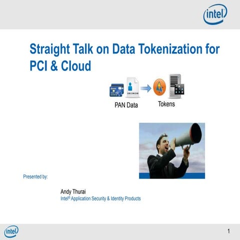 Straight Talk on Data Tokenization for PCI & Cloud
