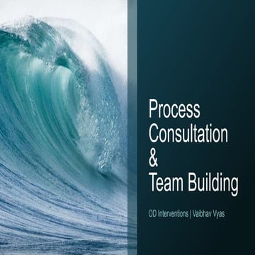 Process Consultation and team building