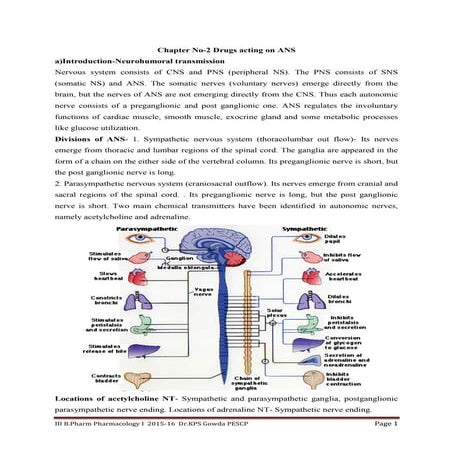 Adrenergic receptors | PPTX