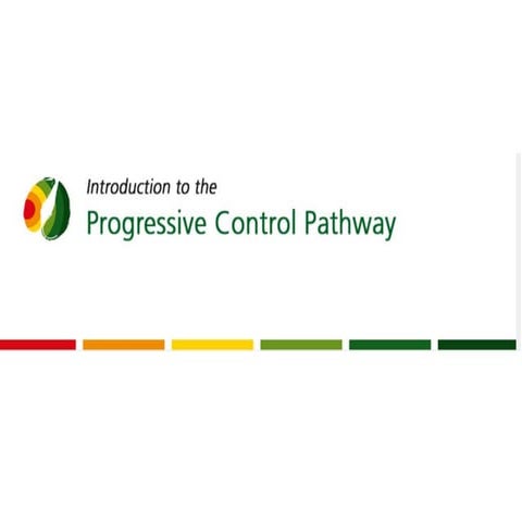 Introduction to the Progressive Control Pathway | PDF